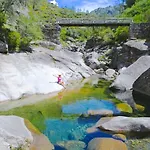 Camping Wood Valley