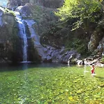 Wood Valley * Gerês
