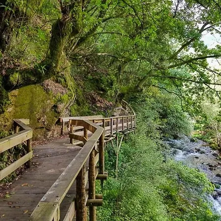 Wood Valley Kemping *
