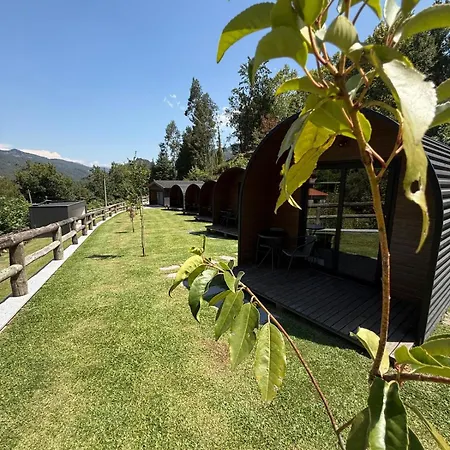 Wood Valley *