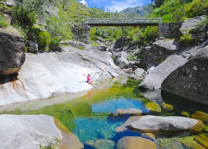 אתר קמפינג Wood Valley