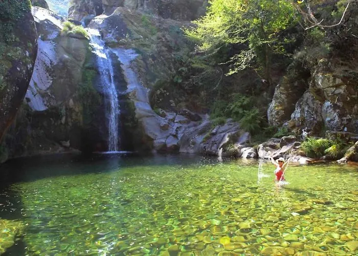 Wood Valley * ג'רס