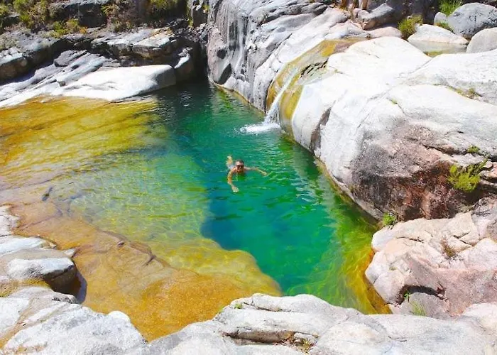 Wood Valley مكان تخييم *