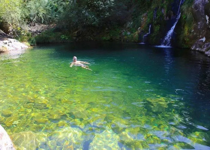 Wood Valley 캠프장