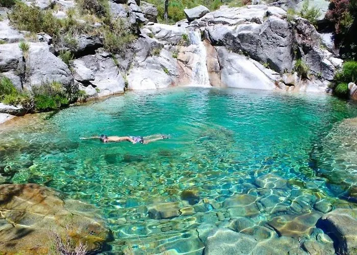 Wood Valley אתר קמפינג *