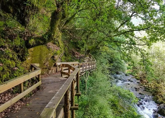 Wood Valley אתר קמפינג *