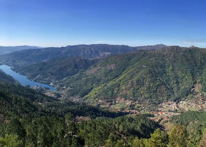 Wood Valley 제어스