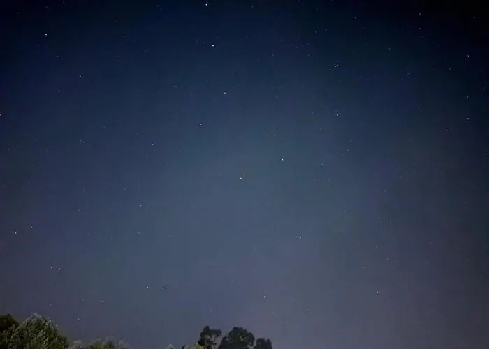 Wood Valley 제어스